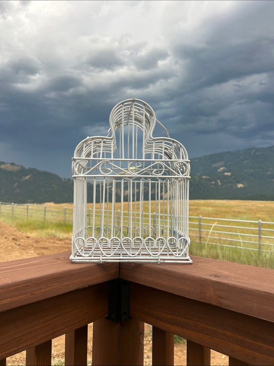 Vintage Other - Vintage White Decorative Bird Cage Accent